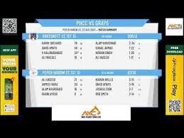 Image result for Peper Harow Cricket Club