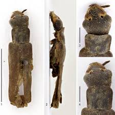 Attēlu rezultāti vaicājumam “Arcyria helvetica young”