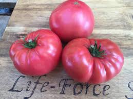 Afbeeldingsresultaat voor brandywine sudduth tomato