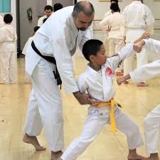 Image result for Excalibur Shotokan Karate Club
