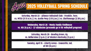 Image result for Reading Aces Volleyball Club