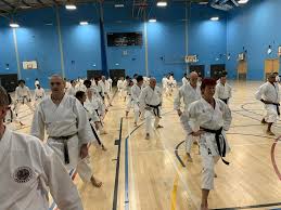 Image result for Waltham Abbey Shotokan Karate Club