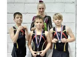 Image result for Haverfordwest Gymnastics Club