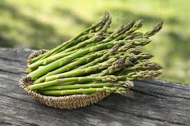 Attēlu rezultāti vaicājumam “Asparagus officinalis”