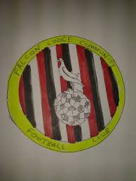 Image result for Newdigate F C