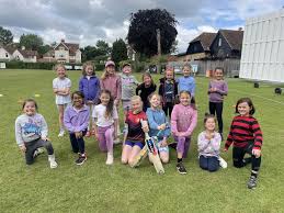 Image result for Henley Cricket Club