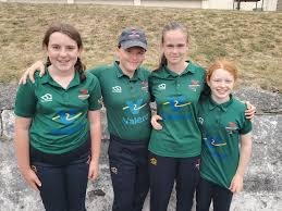 Image result for Carmarthen Wanderers Cricket Club