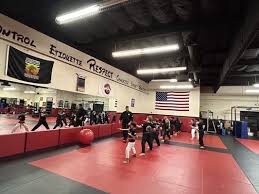 Image result for United Dojos Kickboxing