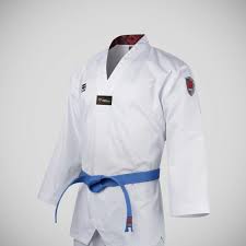 Image result for Bytomic Taekwondo