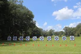 Image result for Cloth Of Gold Field Archery Club