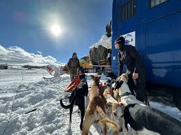Image result for Team Ice Fire British Sled Dog Racing Team