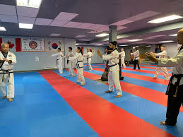 Image result for Tang Sou Dao Ren Yi Wu Kwan - Huntingdon