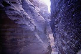 http://t0.gstatic.com/images?q=tbn:ANd9GcTs5HSaVyL0OQer8Xk07jd3yABBEMmaYmeMfCFuRy8IWDQ2Yz3QGA&t=1