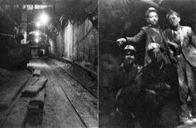 Image result for St Helens Miners