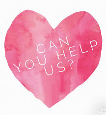 Image result for Focus Institute of Gymnastics