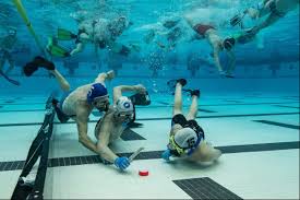 Image result for Dublin Underwater Hockey Team