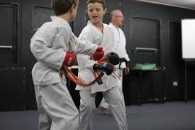 Image result for Loughton Wado-Kai Karate Club