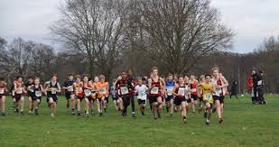 Image result for South London Harriers