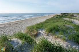 Image result for Suffolk Coastal Floaters