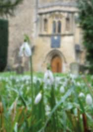 Image result for Falmouth Octopush Club