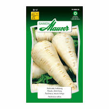 Image result for Pastinake