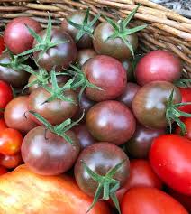 Afbeeldingsresultaat voor black cherry tomato