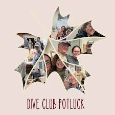 Image result for 243 Diving Club