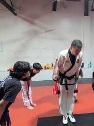 Image result for Surrey Taekwondo