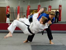 Image result for Taunton Karate Jutsu