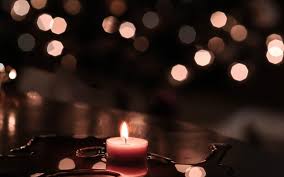 Image result for bokeh