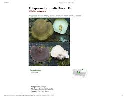 Attēlu rezultāti vaicājumam “Polyporus brumalis”