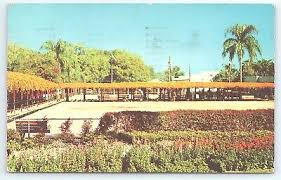 Image result for Plantation Park Bowls Club