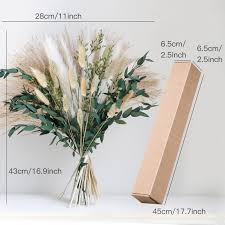 Attēlu rezultāti vaicājumam “Phragmites communis flower”