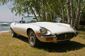 Image result for Old English White 1971 Jaguar