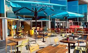 Image result for Liverpool Lizards Speedminton Club