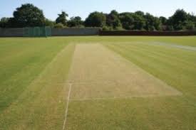 Image result for Great Melton Cricket Club