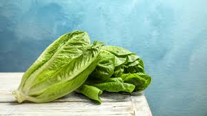 Image result for Römischer Salat