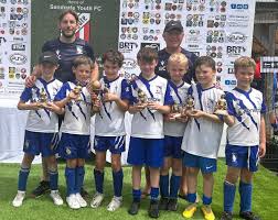 Image result for Woking Boys & Woking Fc (Part Of Woking Boys & Girls Fc)