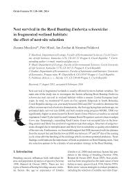 Attēlu rezultāti vaicājumam “Emberiza schoeniclus nest”