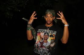 Attēlu rezultāti vaicājumam “juvenile”