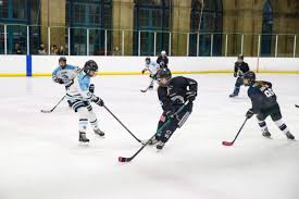Image result for Haringey Greyhounds Ice Hockey Club