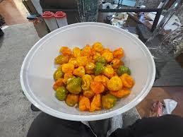 Afbeeldingsresultaat voor yellow mushroom hot pepper