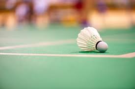 Image result for Howard Badminton Club