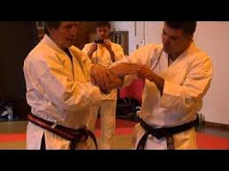 Image result for Ju Jitsu Tavistock