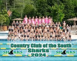 Image result for South Lincs Competitive Swimming Club