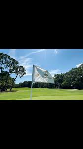 Image result for Dolphina Gc