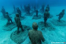 Image result for Canary Divers