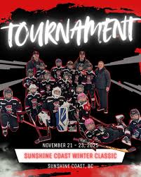 Image result for Mid Surrey Ladies Hockey Club