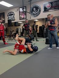 Image result for Anta's Fitness & Self Defense