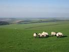 in southern England. - via Daymix